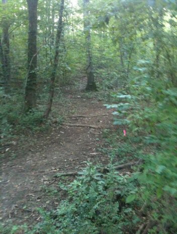 Marked Trail