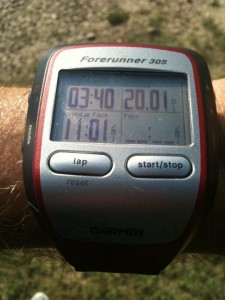 20 mile marathon training run